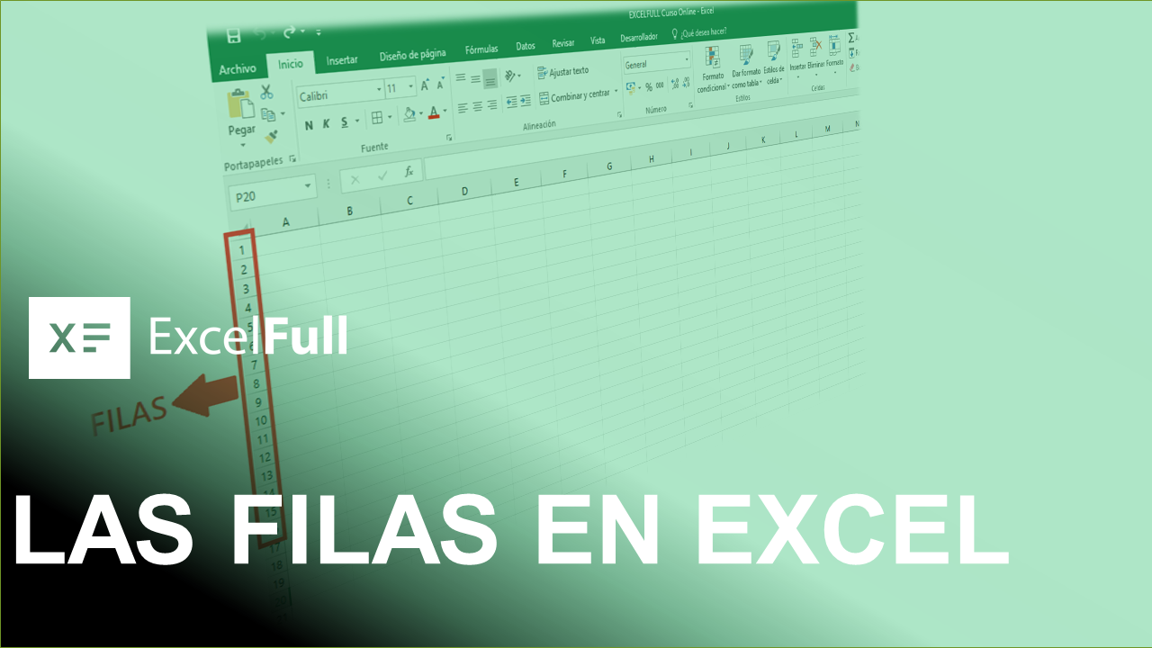 LAS FILAS EN EXCEL