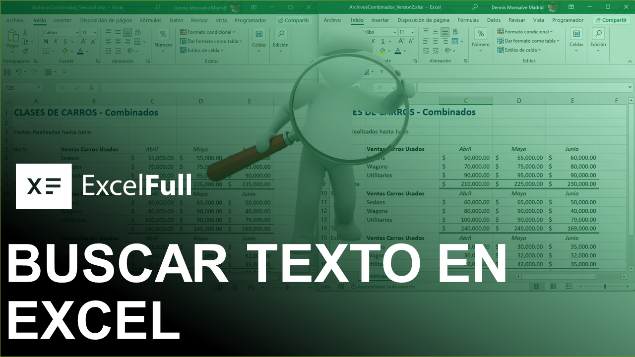 BUSCAR TEXTO EN EXCEL