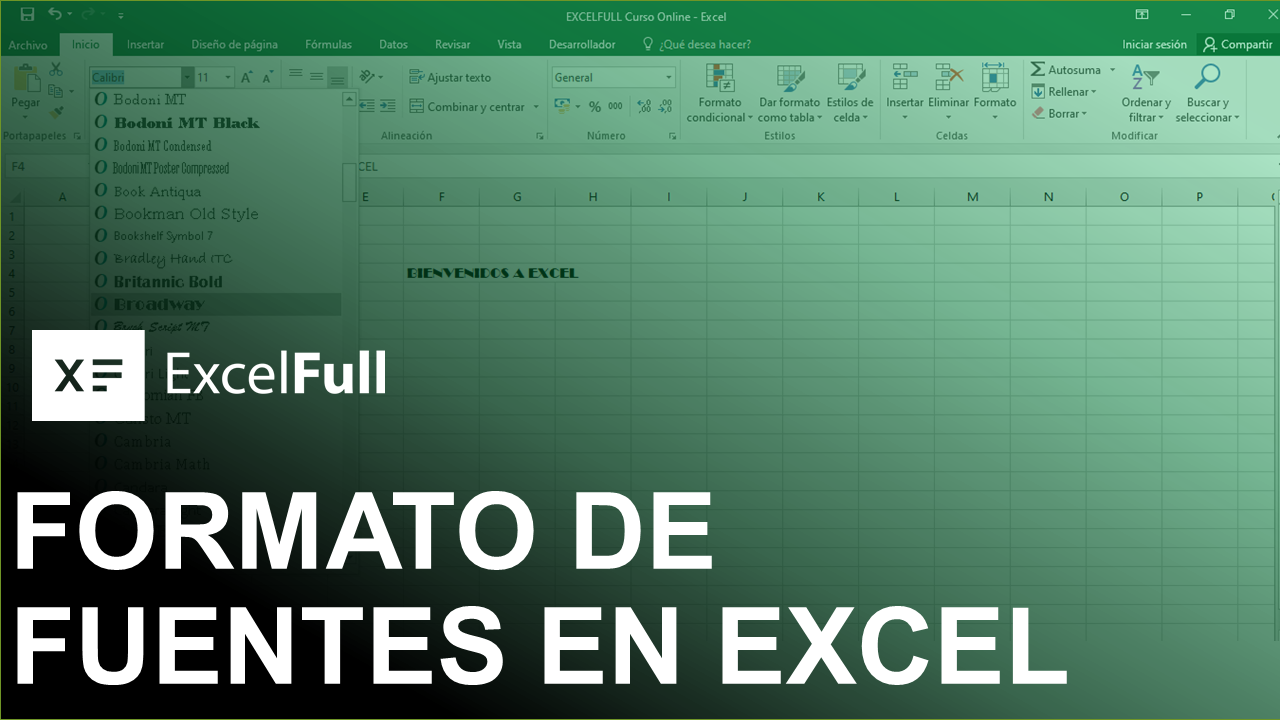 FORMATO FUENTES EN EXCEL